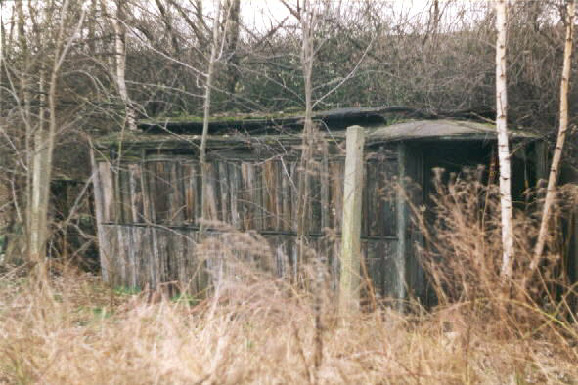 Der 25 K an seinem Fundort